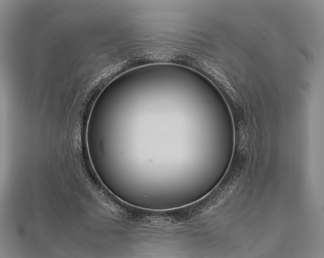 X0000113010681200909031314