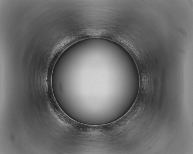 X0000113010682200909031314