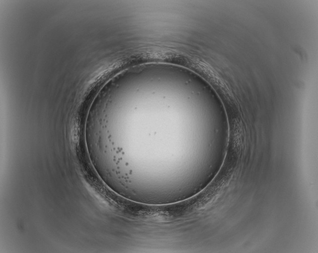 X0000113010683200909031314