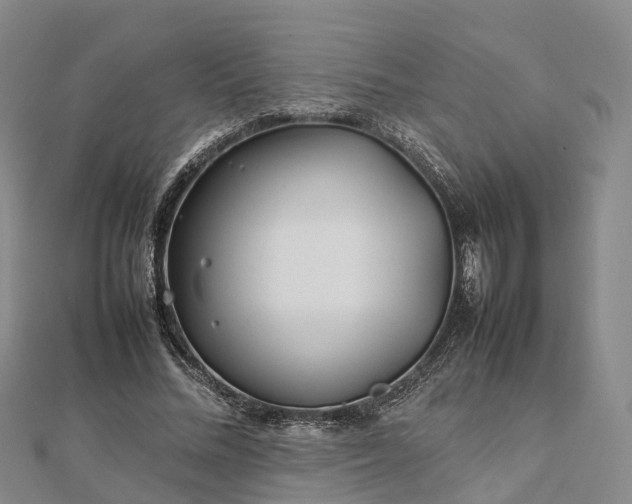 X0000113010684200909031314