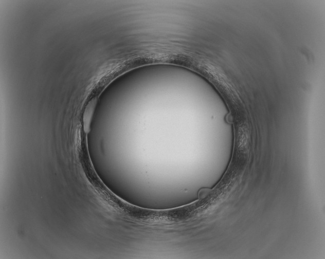 X0000113010685200909031314