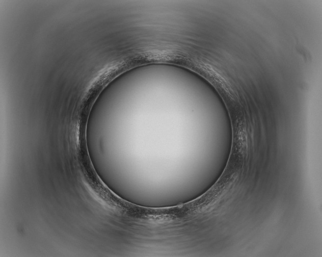 X0000113010686200909031314