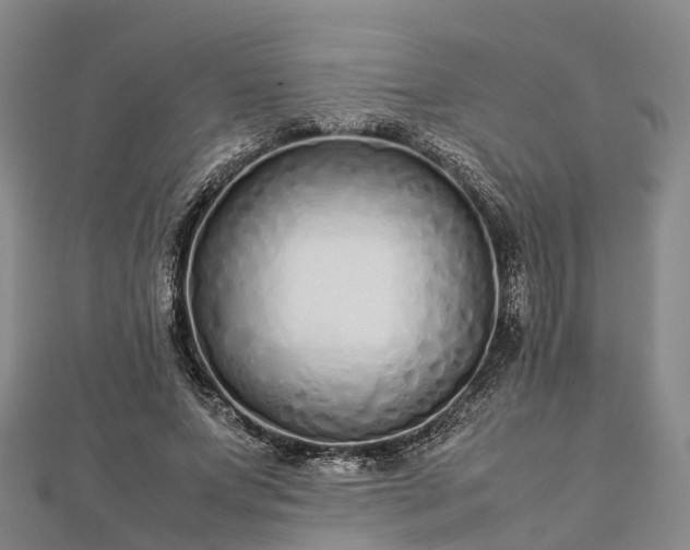 X0000113010687200909031314