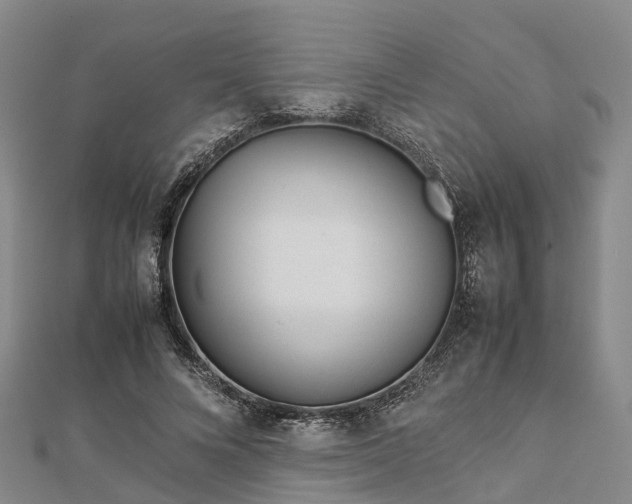 X0000113010688200909031314