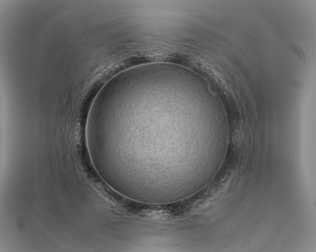 X0000113010689200909031314