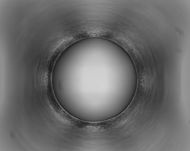 X0000113010690200909031314