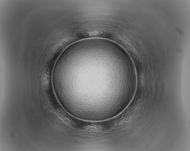 X0000113010691200909031314