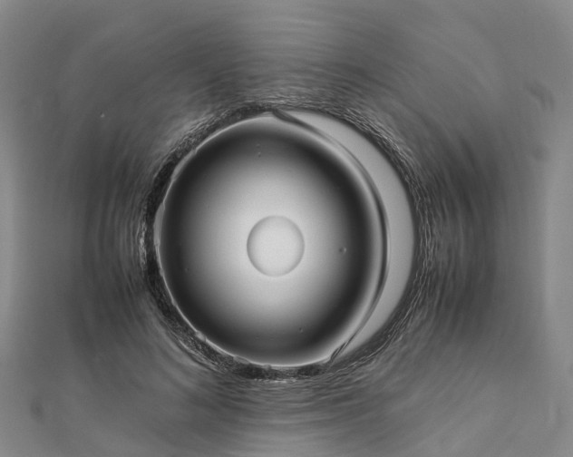 X0000113010692200909031314