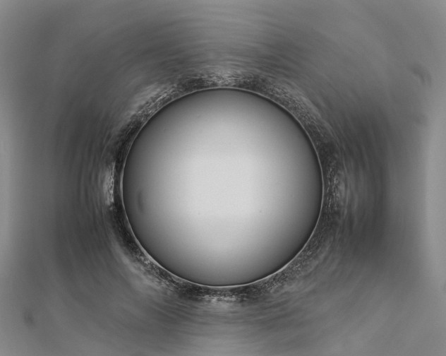 X0000113010694200909031314