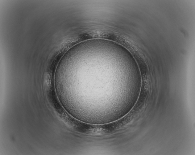 X0000113010695200909031314