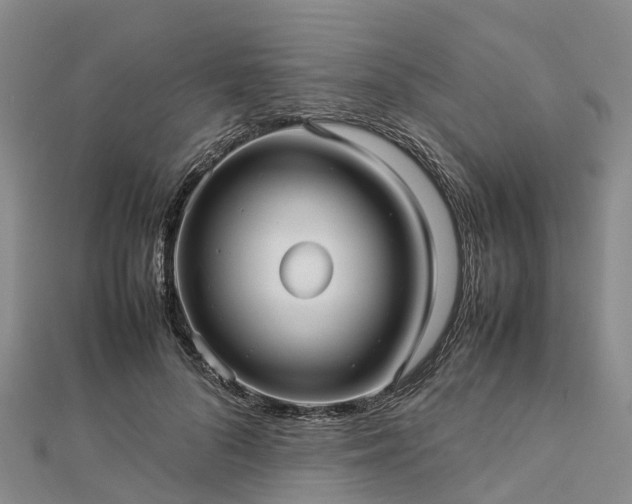 X0000113010696200909031314