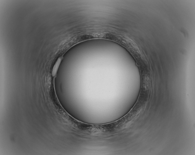 X0000113010697200909031314