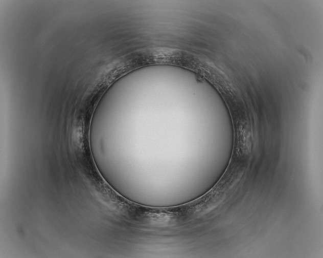 X0000113010698200909031314