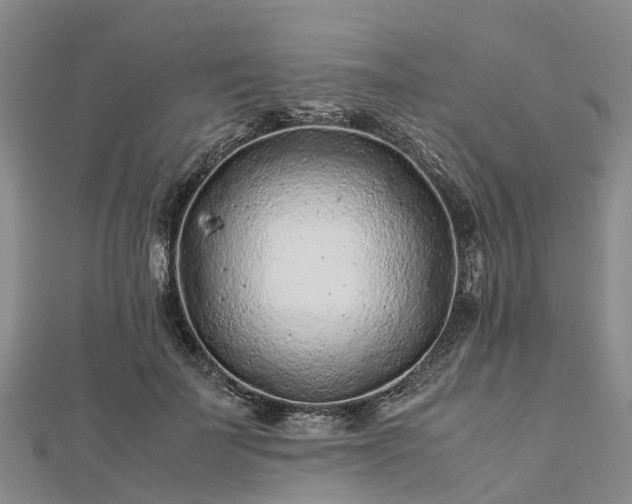 X0000113010699200909031314