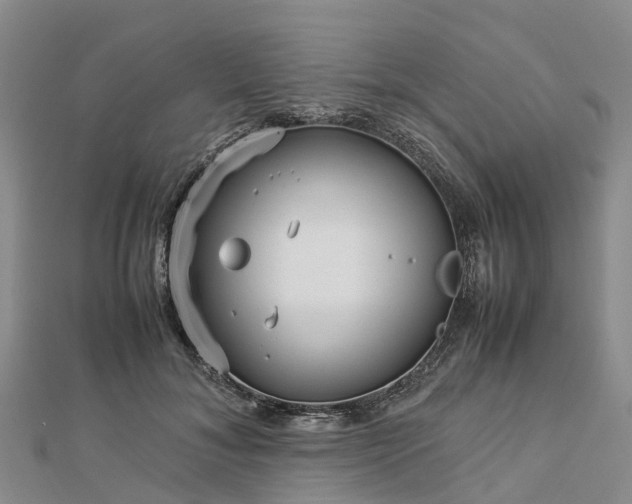 X0000113010700200909031314