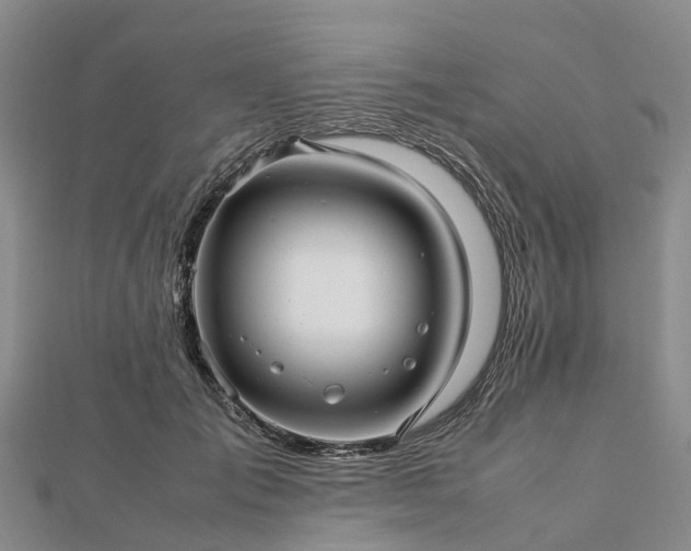 X0000113010701200909031314