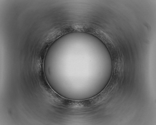 X0000113010702200909031314