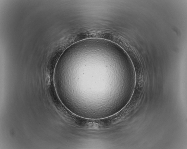 X0000113010703200909031314