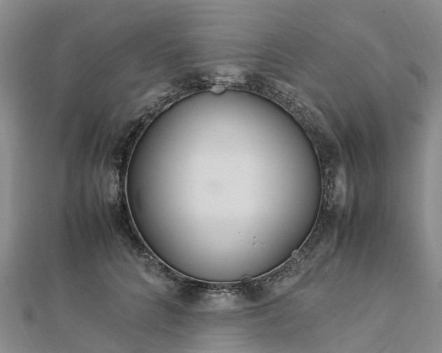 X0000113010704200909031314