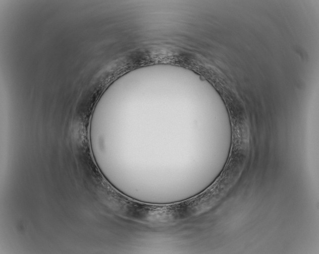 X0000113010705200909031314