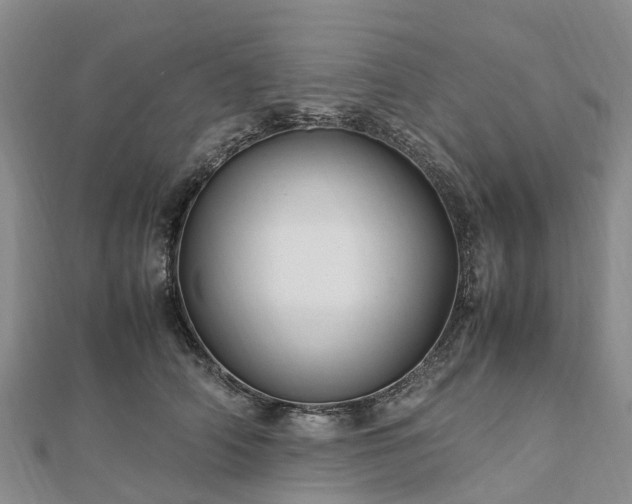 X0000113010706200909031314