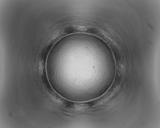 X0000113010707200909031314