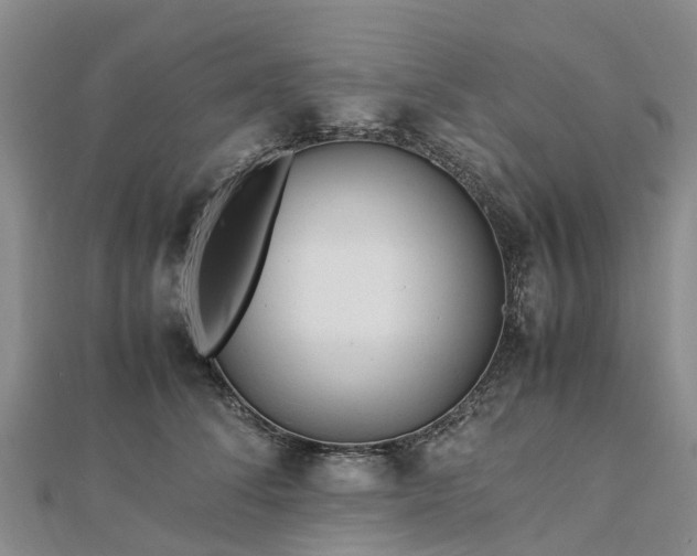 X0000113010708200909031314