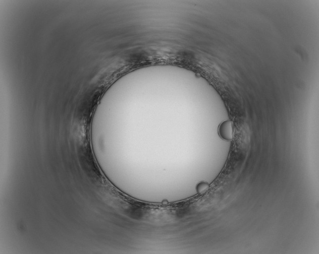 X0000113010709200909031314