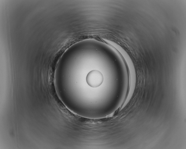 X0000113010712200909031314