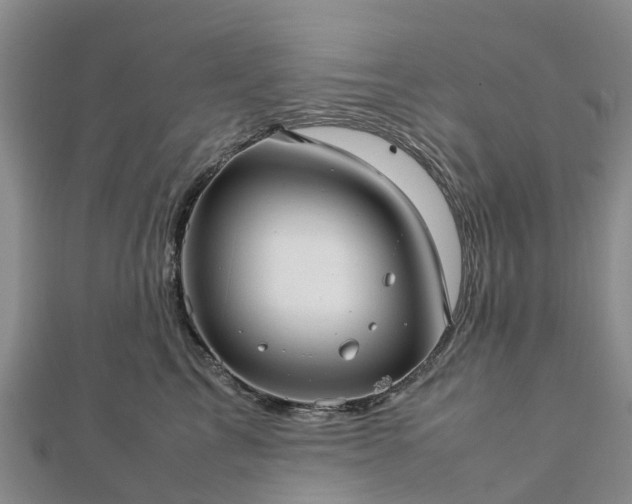 X0000113010713200909031314