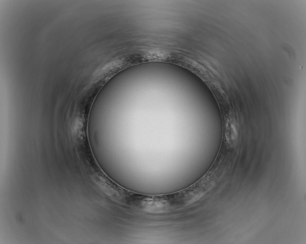 X0000113010714200909031314