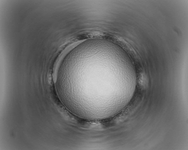 X0000113010715200909031314