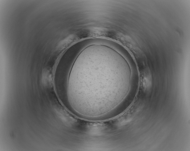 X0000113010716200909031314