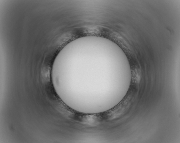 X0000113010717200909031314