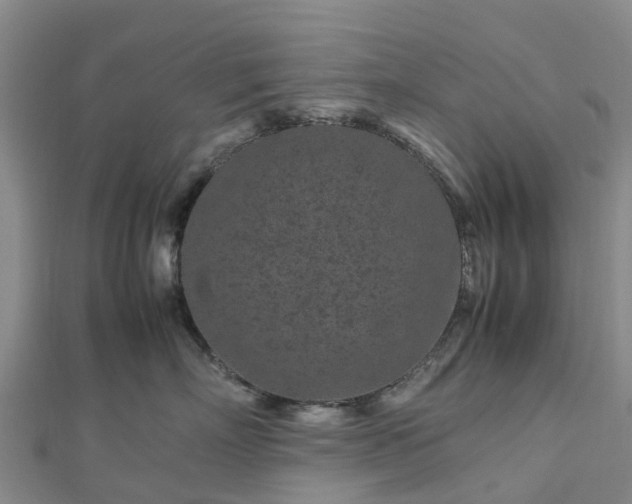 X0000113010718200909031314