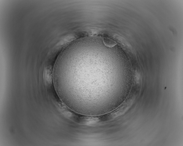 X0000113010719200909031314