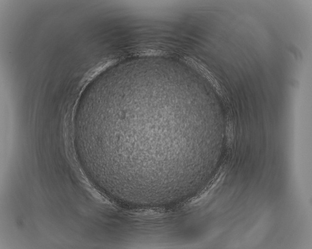 X0000113010721200909031313