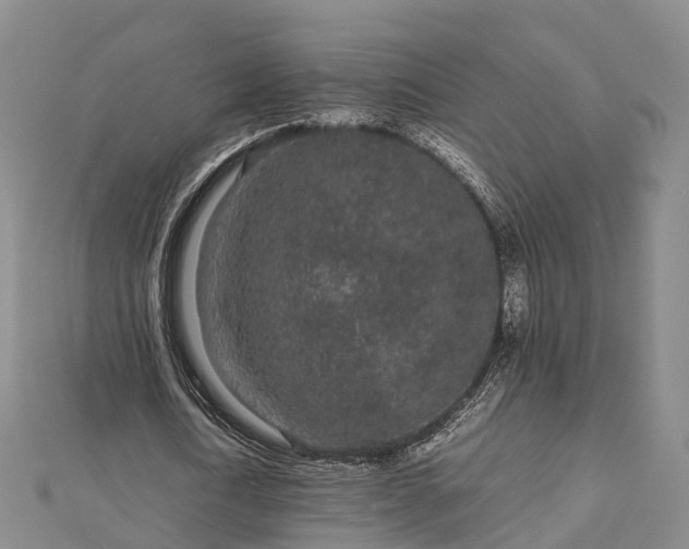 X0000113010722200909031313