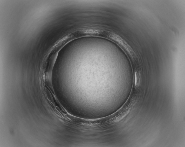 X0000113010723200909031313