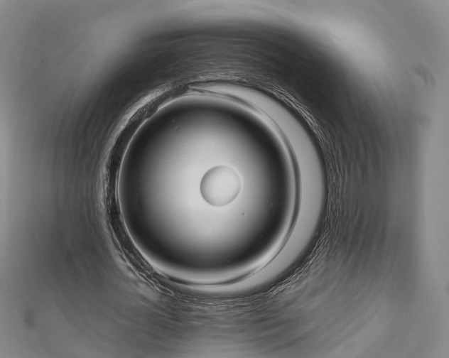 X0000113010724200909031313