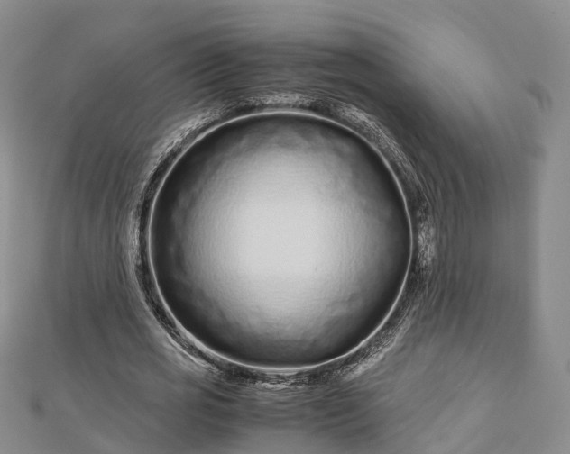 X0000113010725200909031313