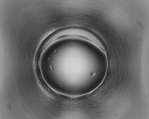 X0000113010726200909031313