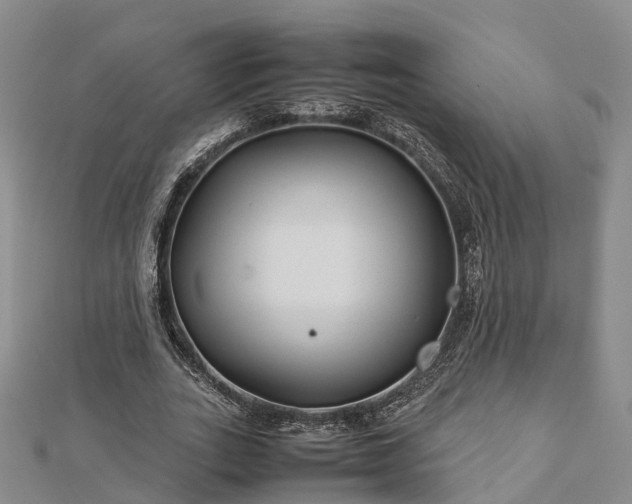 X0000113010727200909031313