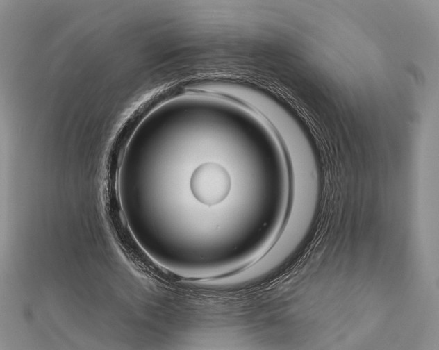 X0000113010728200909031313