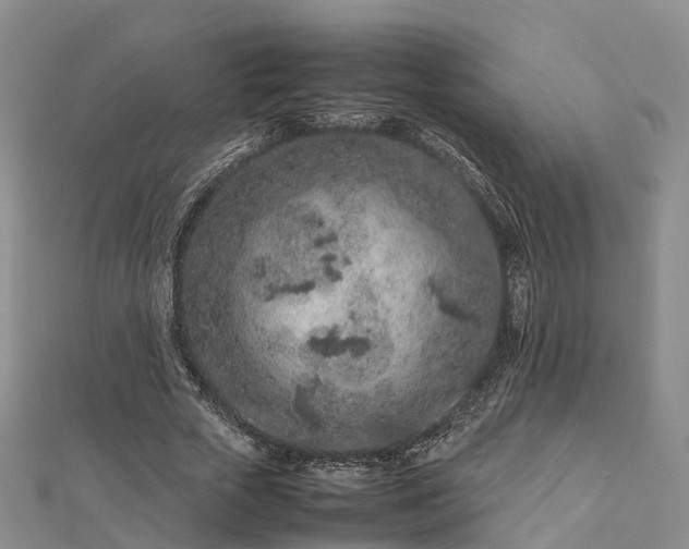 X0000113010729200909031313