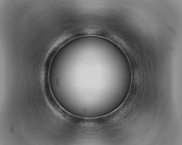 X0000113010730200909031313