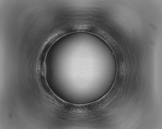 X0000113010731200909031313