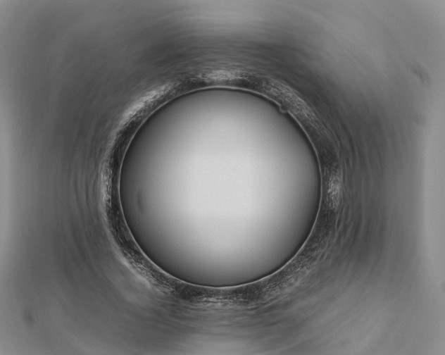 X0000113010732200909031313