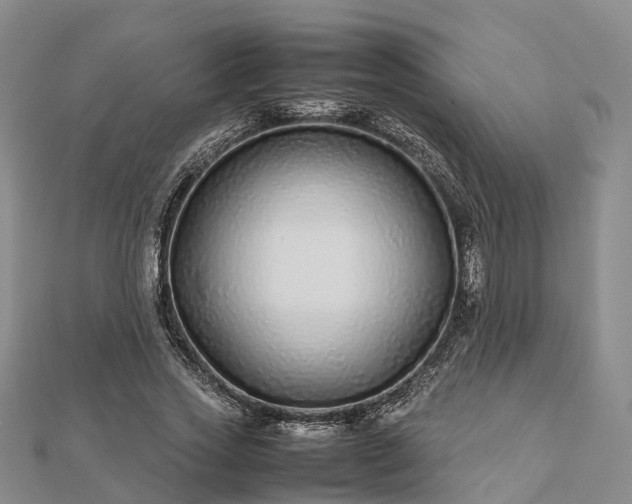 X0000113010733200909031313