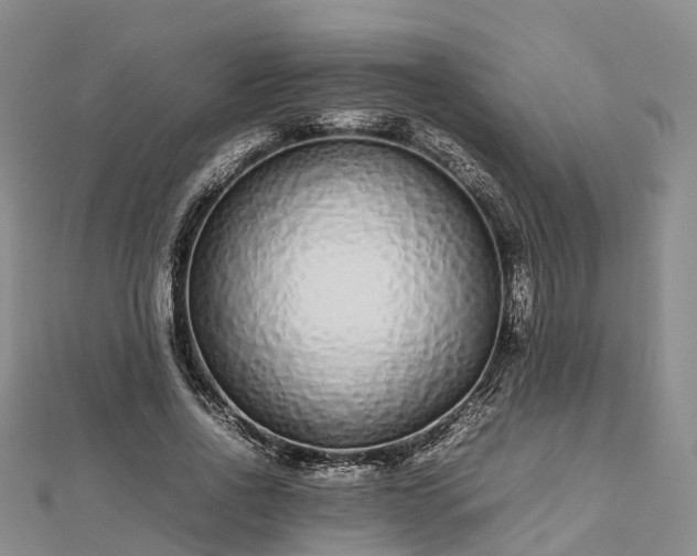 X0000113010734200909031313